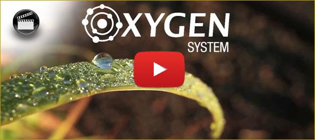 OXYGEN System